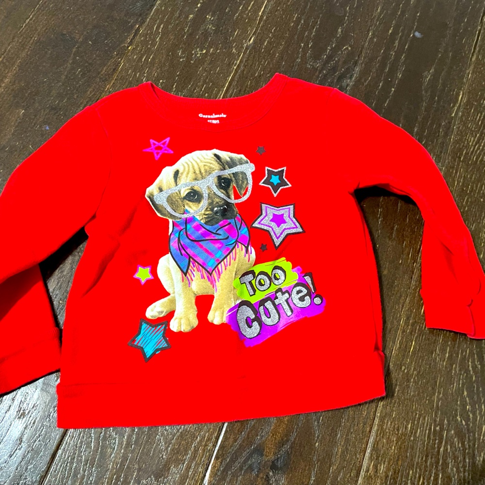 2T girl puppy dog long sleeve sweatshirt